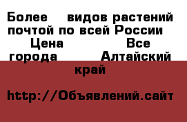 Более200 видов растений почтой по всей России › Цена ­ 100-500 - Все города  »    . Алтайский край